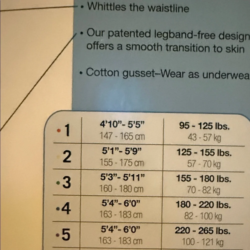 ASSETS by Sara Blakely Hi-Waist Shaper in Nude, Sz 3